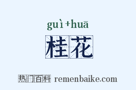 桂花是什么意思的图片
